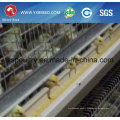 Automatic H Type Broiler Cage